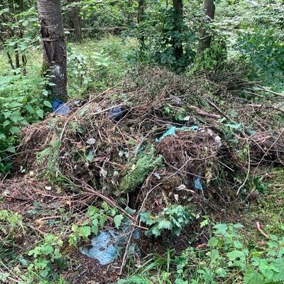 Abbildung 3: illegaler M&uuml;ll nahe eines Waldparkplatzes Lahnau, Foto: RL L. Sonnabend