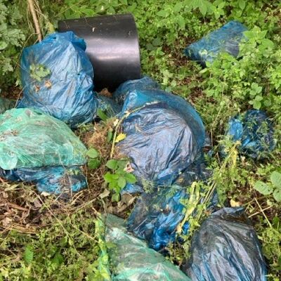 Abbildung 4: illegaler M&uuml;ll, Gr&uuml;nschnitt in Plastikt&uuml;ten im Wald, Foto: RL L. Sonnabend