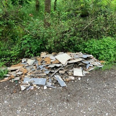 Abbildung 5: illegaler M&uuml;ll am Kinzenbacher Waldparkplatz, Foto: RL L. Sonnabend