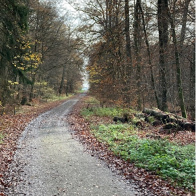 Bild1