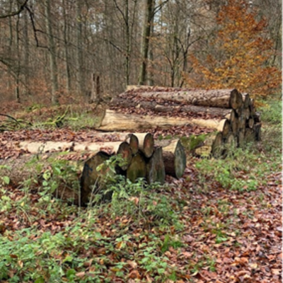 Bild2
