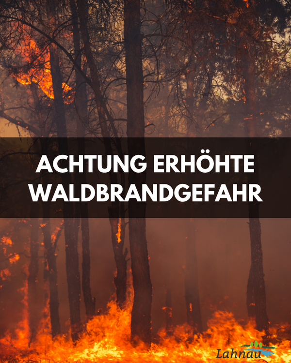 Black and red Realistic Wildfire Natural Disaster Landscape Classroom Poster