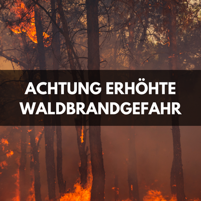 Black and red Realistic Wildfire Natural Disaster Landscape Classroom Poster