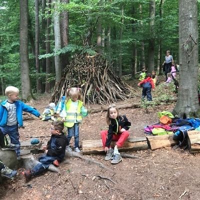 Wald 8